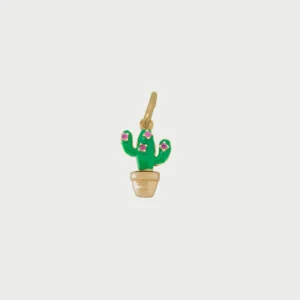 Charm cactus