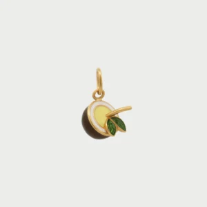 Charm noce di cocco